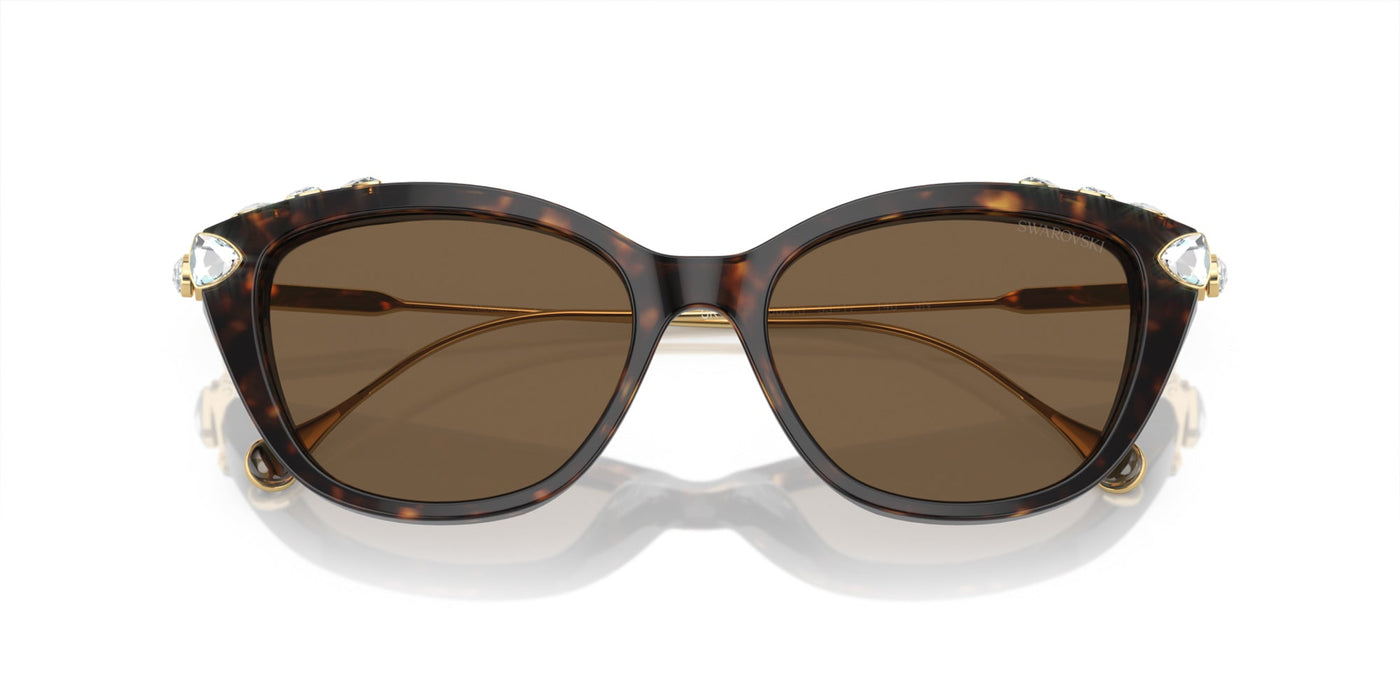 Swarovski SK6010 Havana/Dark Brown #colour_havana-dark-brown