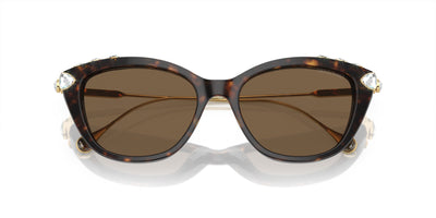 Swarovski SK6010 Havana/Dark Brown #colour_havana-dark-brown