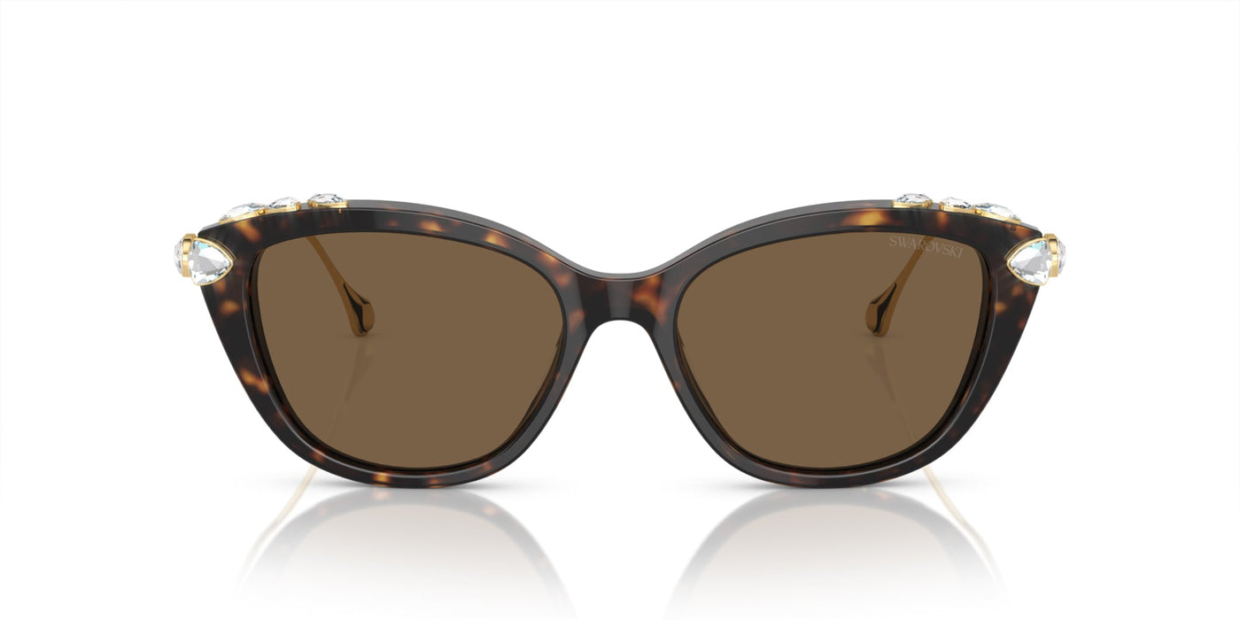 Swarovski SK6010 Havana/Dark Brown #colour_havana-dark-brown