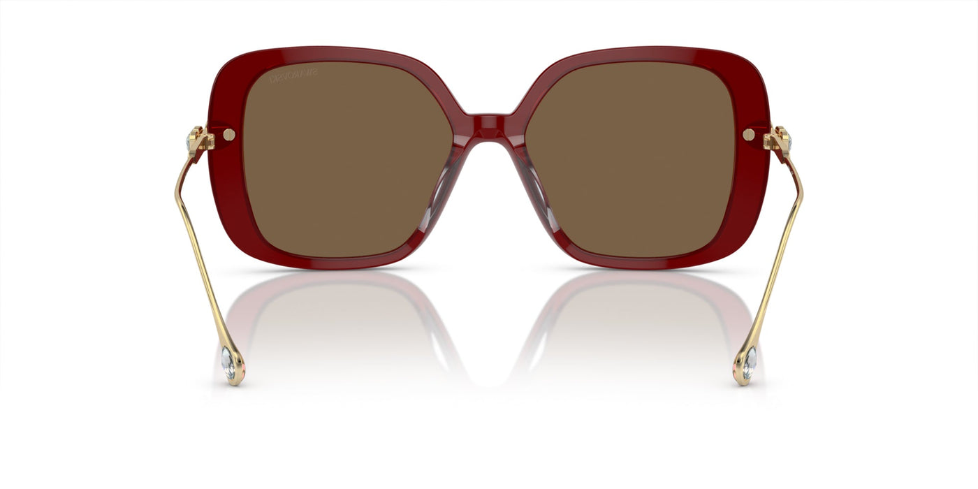 Swarovski SK6011 Transparent Burgundy/Dark Brown #colour_transparent-burgundy-dark-brown