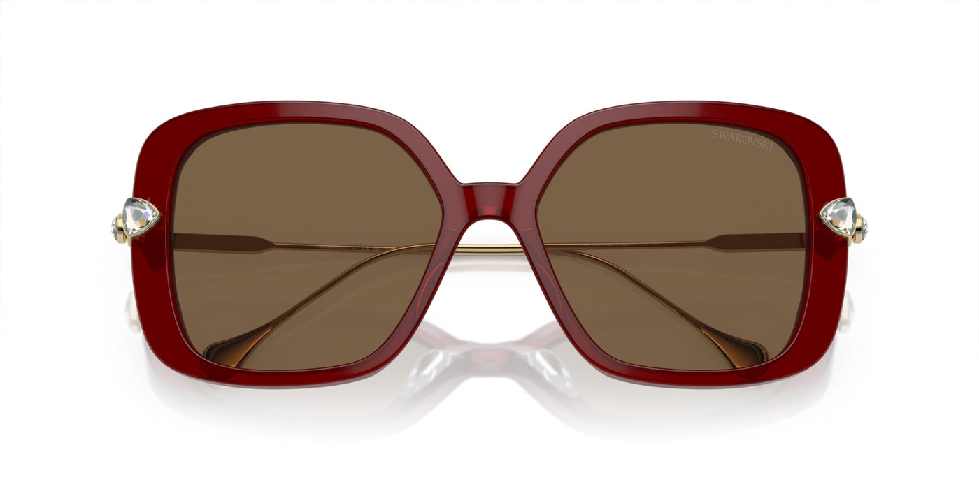 Swarovski SK6011 Transparent Burgundy/Dark Brown #colour_transparent-burgundy-dark-brown