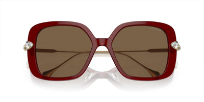 Swarovski SK6011 Transparent Burgundy/Dark Brown #colour_transparent-burgundy-dark-brown