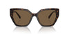Swarovski SK6016 Dark Havana/Dark Brown #colour_dark-havana-dark-brown