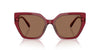 Swarovski SK6016 Transparent Burgundy/Dark Brown #colour_transparent-burgundy-dark-brown