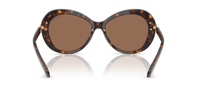 Swarovski SK6026 Havana/Dark Brown #colour_havana-dark-brown
