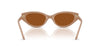 Swarovski SK6030 Beige/Dark Brown #colour_beige-dark-brown