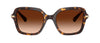 #colour_havana-brown-gradient