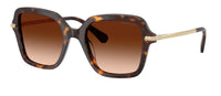 #colour_havana-brown-gradient