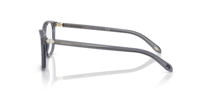 Tiffany TF2109HB Crystal Dark Violet #colour_crystal-dark-violet