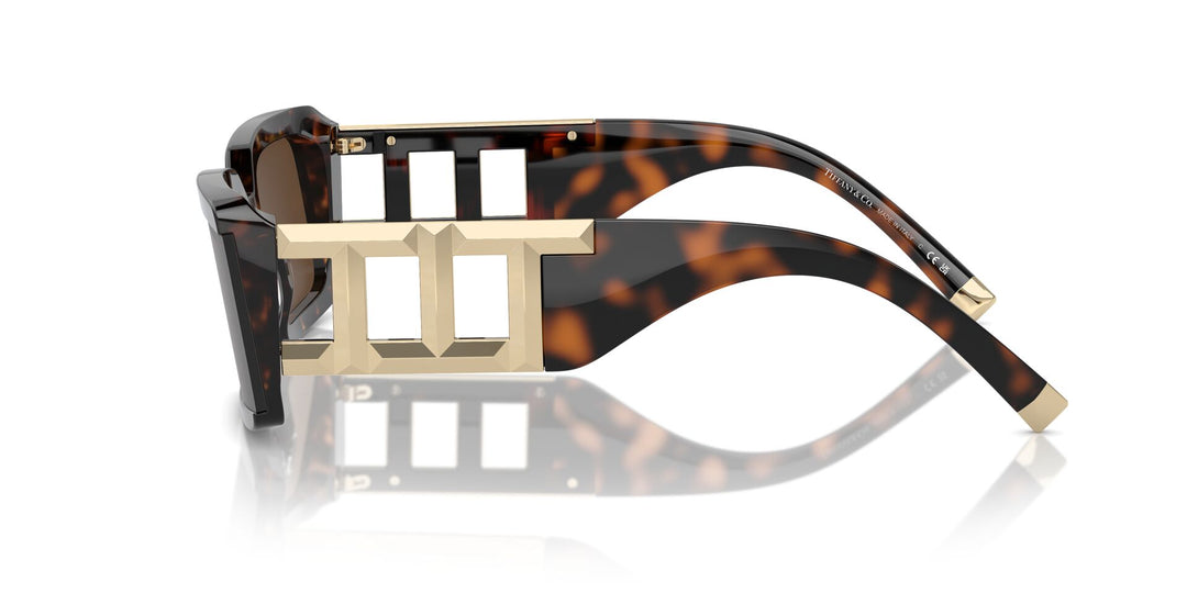 Tiffany TF4197 Rectangle Sunglasses | Fashion Eyewear