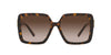 Tiffany TF4206U Havana/Brown Gradient #colour_havana-brown-gradient