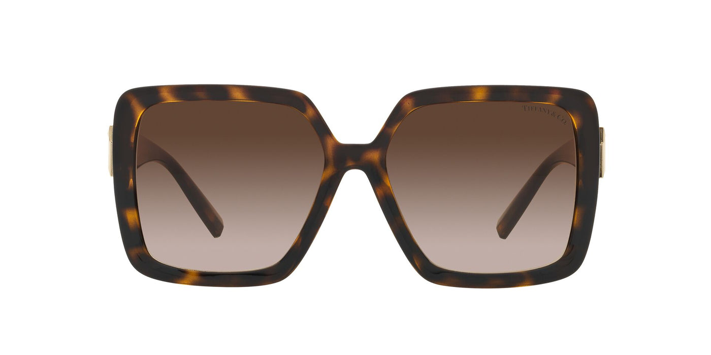 Tiffany TF4206U Havana/Brown Gradient #colour_havana-brown-gradient