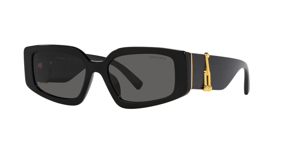 Tiffany TF4208U Rectangle Sunglasses | Fashion Eyewear US