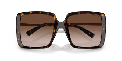 Tiffany TF4212U Havana/Brown Gradient #colour_havana-brown-gradient