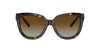 Tiffany TF4215 Havana/Brown Gradient #colour_havana-brown-gradient