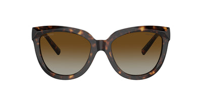 Tiffany TF4215 Havana/Brown Gradient #colour_havana-brown-gradient