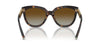 Tiffany TF4215 Havana/Brown Gradient #colour_havana-brown-gradient