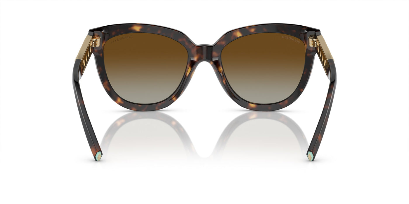 Tiffany TF4215 Havana/Brown Gradient #colour_havana-brown-gradient