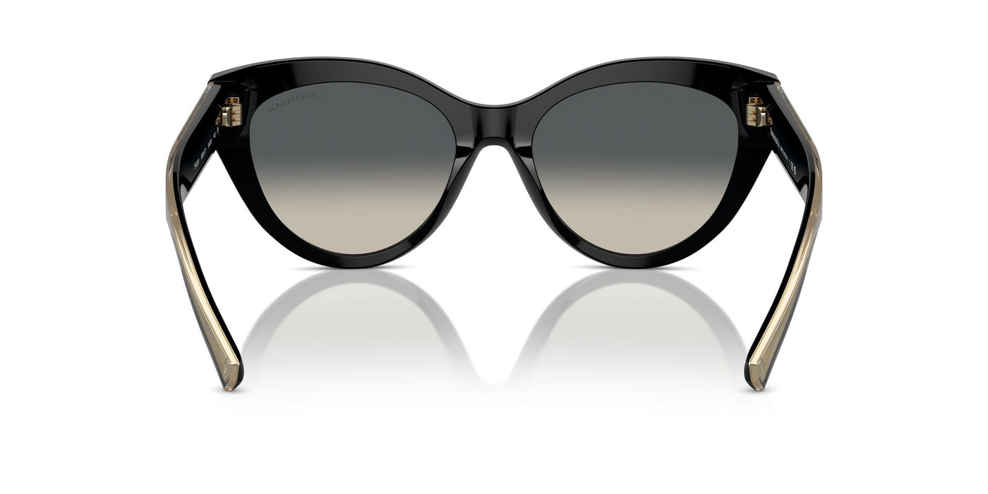 Tiffany TF4220 Black/Grey Gradient #colour_black-grey-gradient