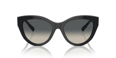 Tiffany TF4220 Black/Grey Gradient #colour_black-grey-gradient