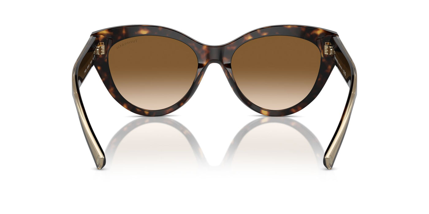 Tiffany TF4220 Havana/Clear Brown Gradient #colour_havana-clear-brown-gradient