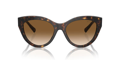 Tiffany TF4220 Havana/Clear Brown Gradient #colour_havana-clear-brown-gradient