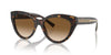 Tiffany TF4220 Havana/Clear Brown Gradient #colour_havana-clear-brown-gradient