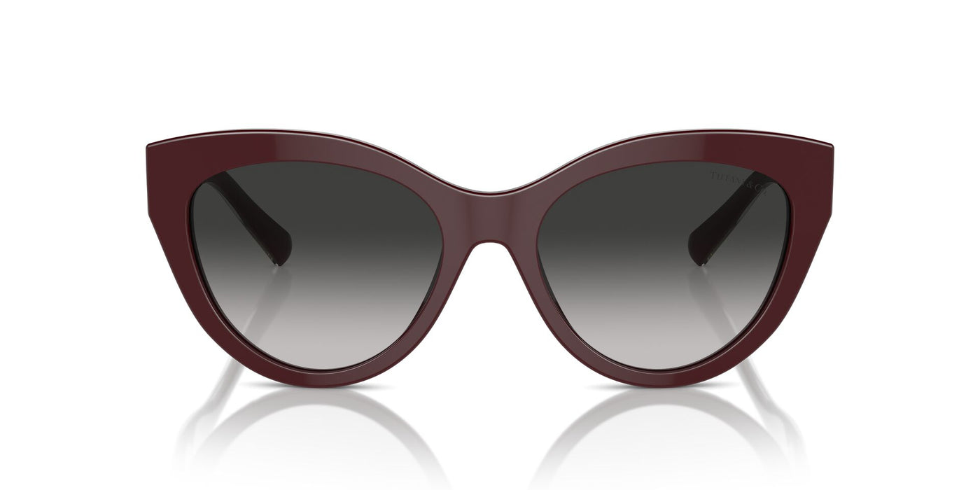 Tiffany TF4220 Burgundy/Grey Gradient #colour_burgundy-grey-gradient