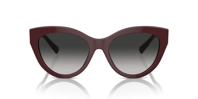 Tiffany TF4220 Burgundy/Grey Gradient #colour_burgundy-grey-gradient