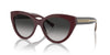 Tiffany TF4220 Burgundy/Grey Gradient #colour_burgundy-grey-gradient