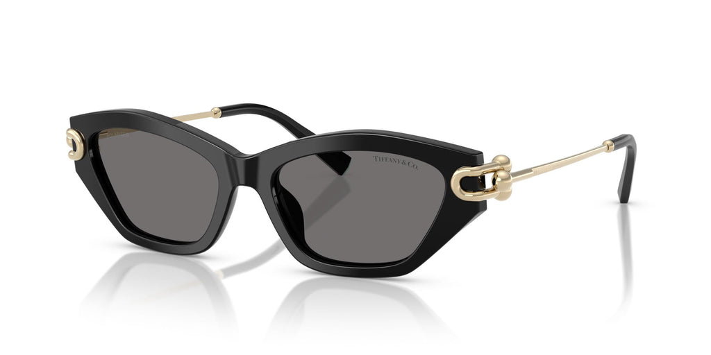 Tiffany TF4231U Cat Eye Sunglasses | Fashion Eyewear US