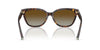 Tiffany TF4237B Havana/Brown Polarised Gradient #colour_havana-brown-polarised-gradient