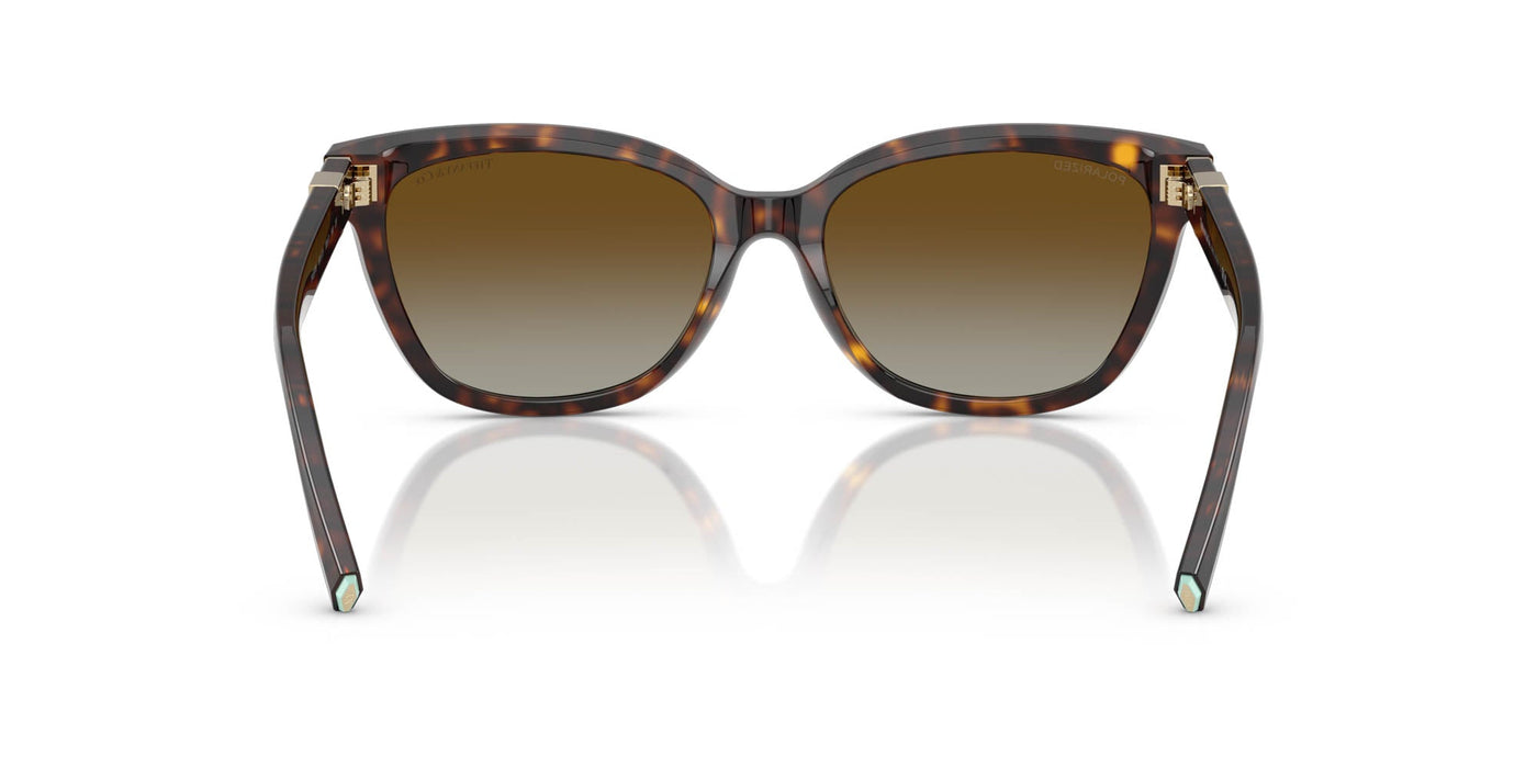 Tiffany TF4237B Havana/Brown Polarised Gradient #colour_havana-brown-polarised-gradient