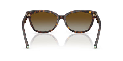 Tiffany TF4237B Havana/Brown Polarised Gradient #colour_havana-brown-polarised-gradient