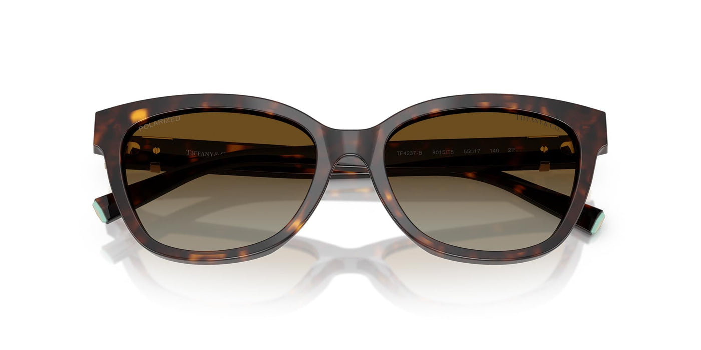 Tiffany TF4237B Havana/Brown Polarised Gradient #colour_havana-brown-polarised-gradient