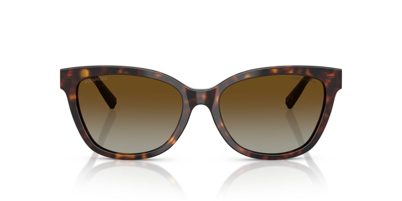Tiffany TF4237B Havana/Brown Polarised Gradient #colour_havana-brown-polarised-gradient