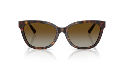 Tiffany TF4237B Havana/Brown Polarised Gradient #colour_havana-brown-polarised-gradient