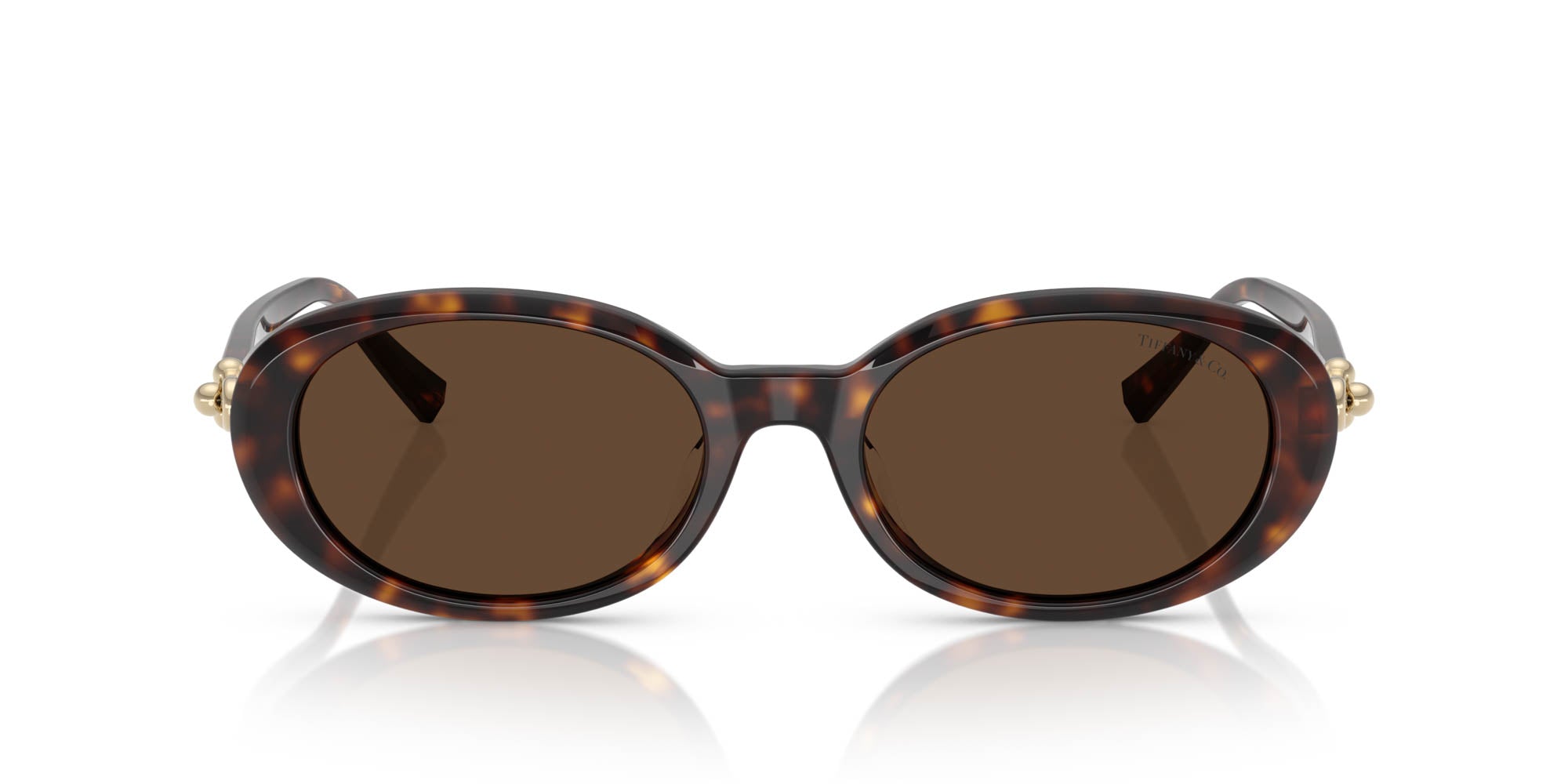 Tiffany TF4242D Oval Sunglasses | Fashion Eyewear US