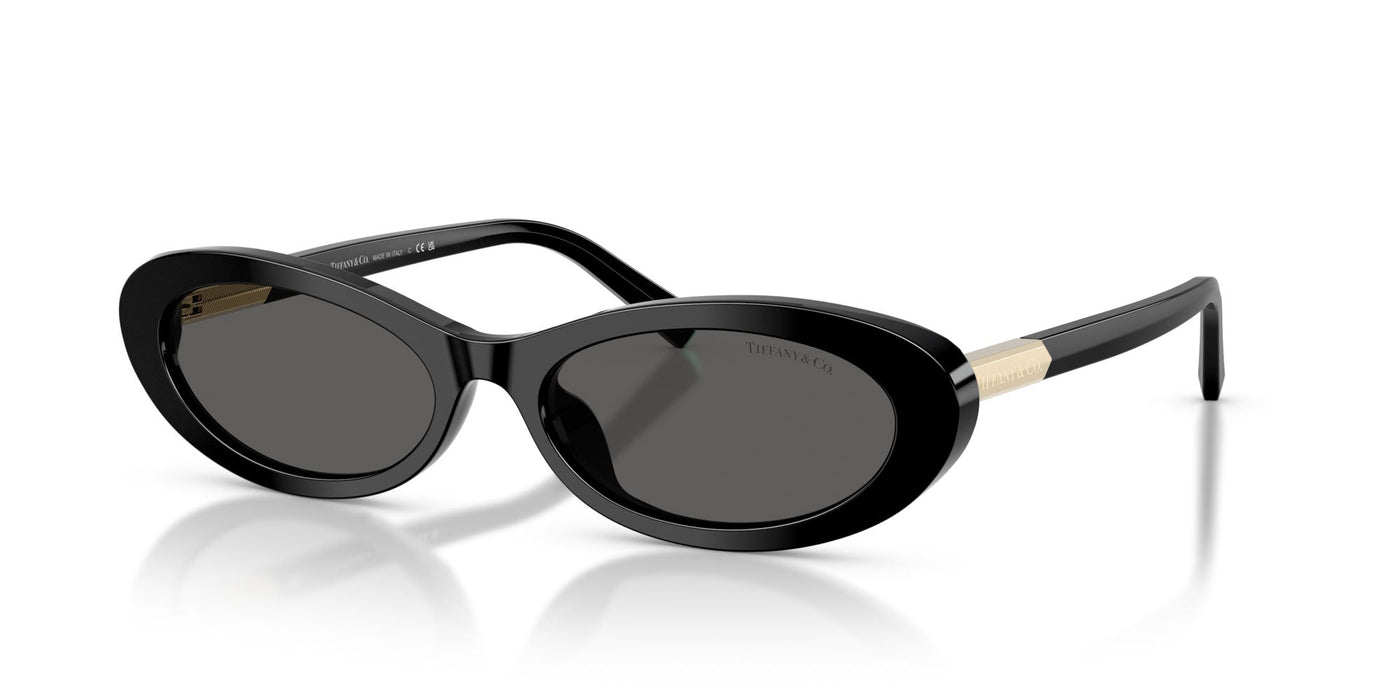 Tiffany TF4250 Black/Dark Grey #colour_black-dark-grey