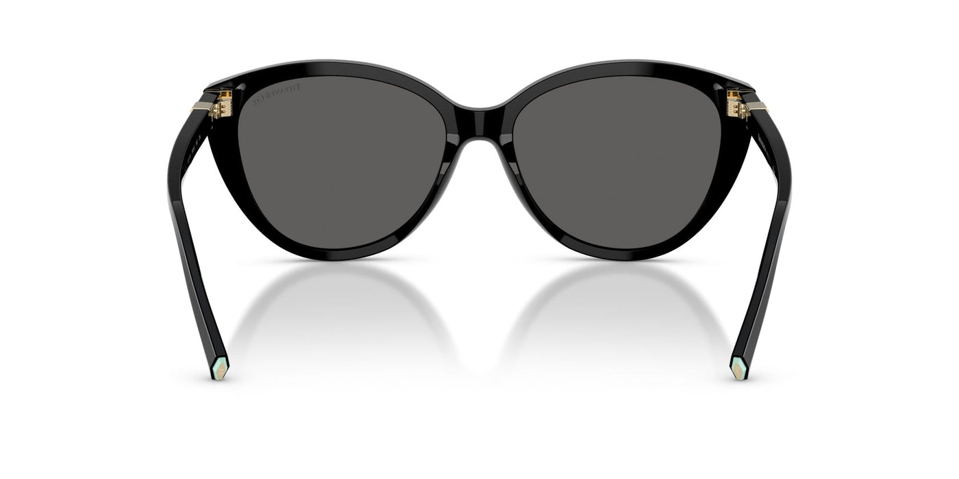 Tiffany TF4251 Black/Dark Grey #colour_black-dark-grey