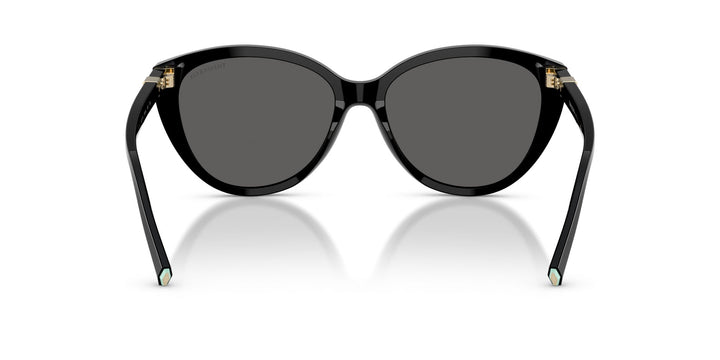 Tiffany TF4251 Cat Eye Sunglasses | Fashion Eyewear US
