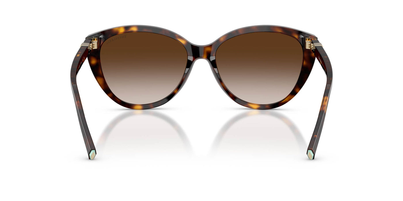 Tiffany TF4251 Havana/Brown Gradient #colour_havana-brown-gradient