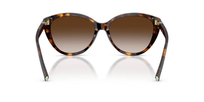 Tiffany TF4251 Havana/Brown Gradient #colour_havana-brown-gradient