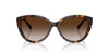Tiffany TF4251 Havana/Brown Gradient #colour_havana-brown-gradient