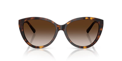 Tiffany TF4251 Havana/Brown Gradient #colour_havana-brown-gradient