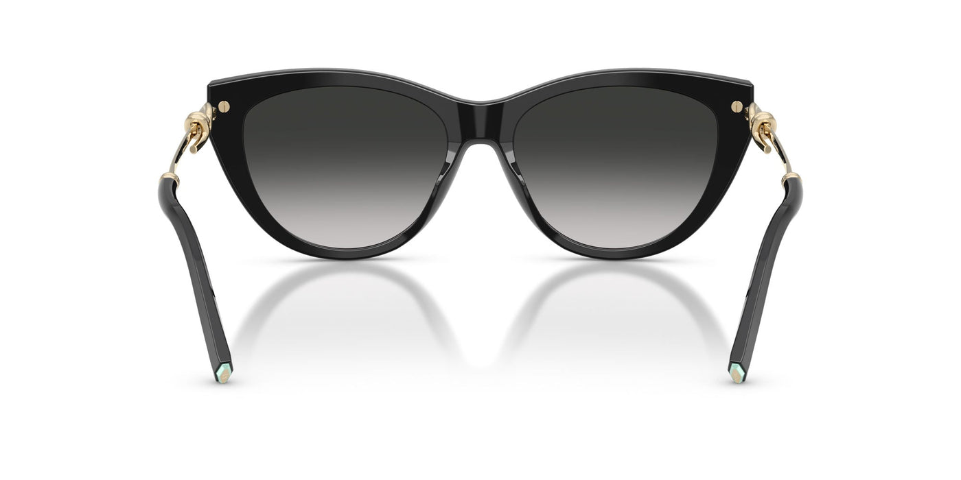 Tiffany TF4253 Black/Grey Gradient #colour_black-grey-gradient