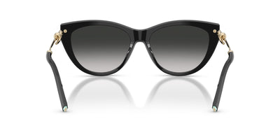 Tiffany TF4253 Black/Grey Gradient #colour_black-grey-gradient