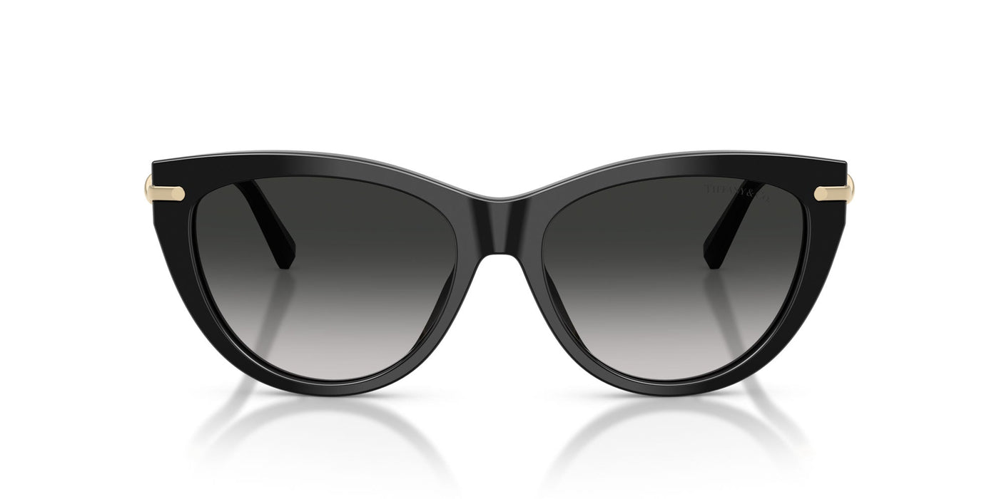 Tiffany TF4253 Black/Grey Gradient #colour_black-grey-gradient