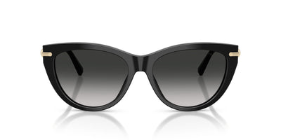 Tiffany TF4253 Black/Grey Gradient #colour_black-grey-gradient