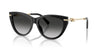 Tiffany TF4253 Black/Grey Gradient #colour_black-grey-gradient